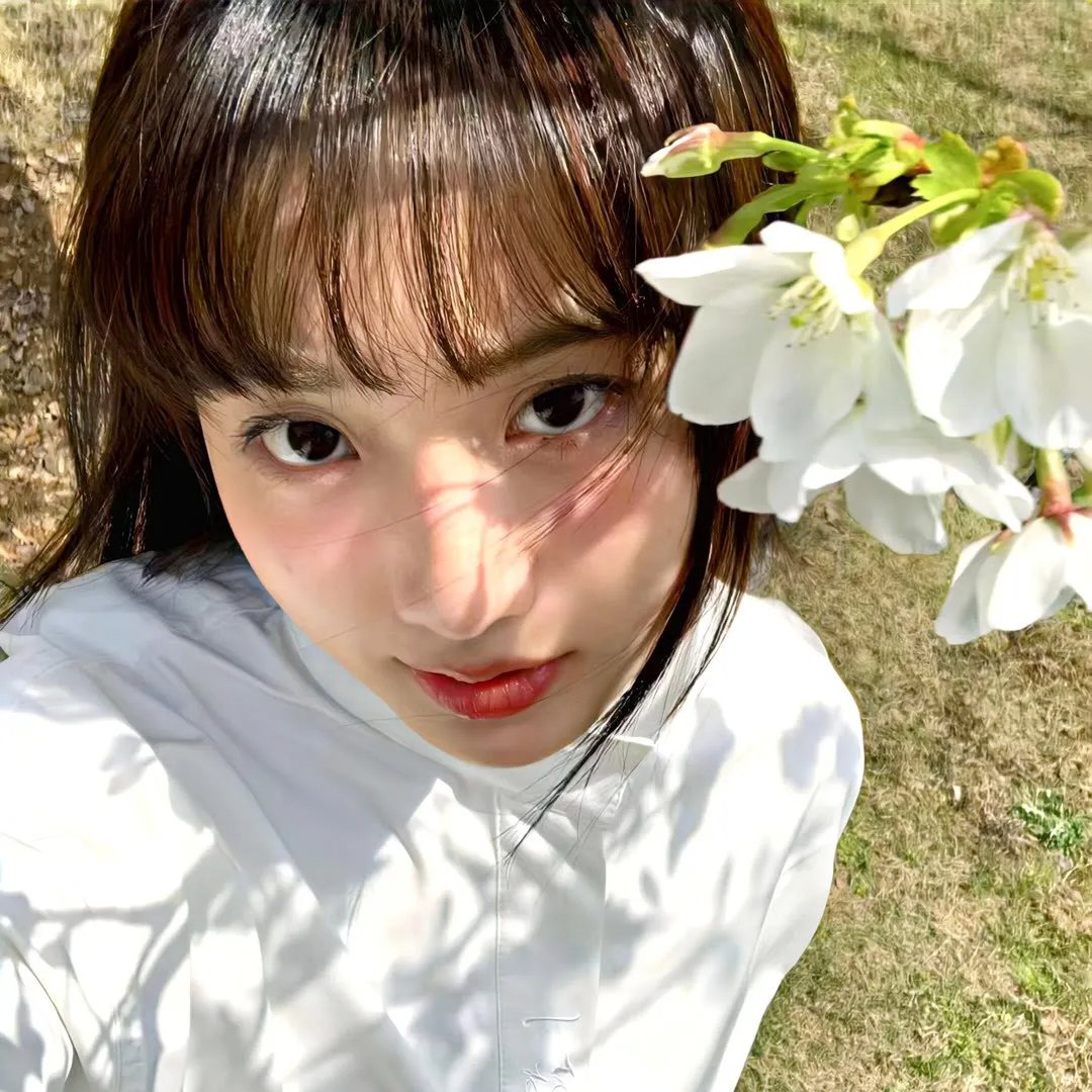 苏菲的世界 在线观看