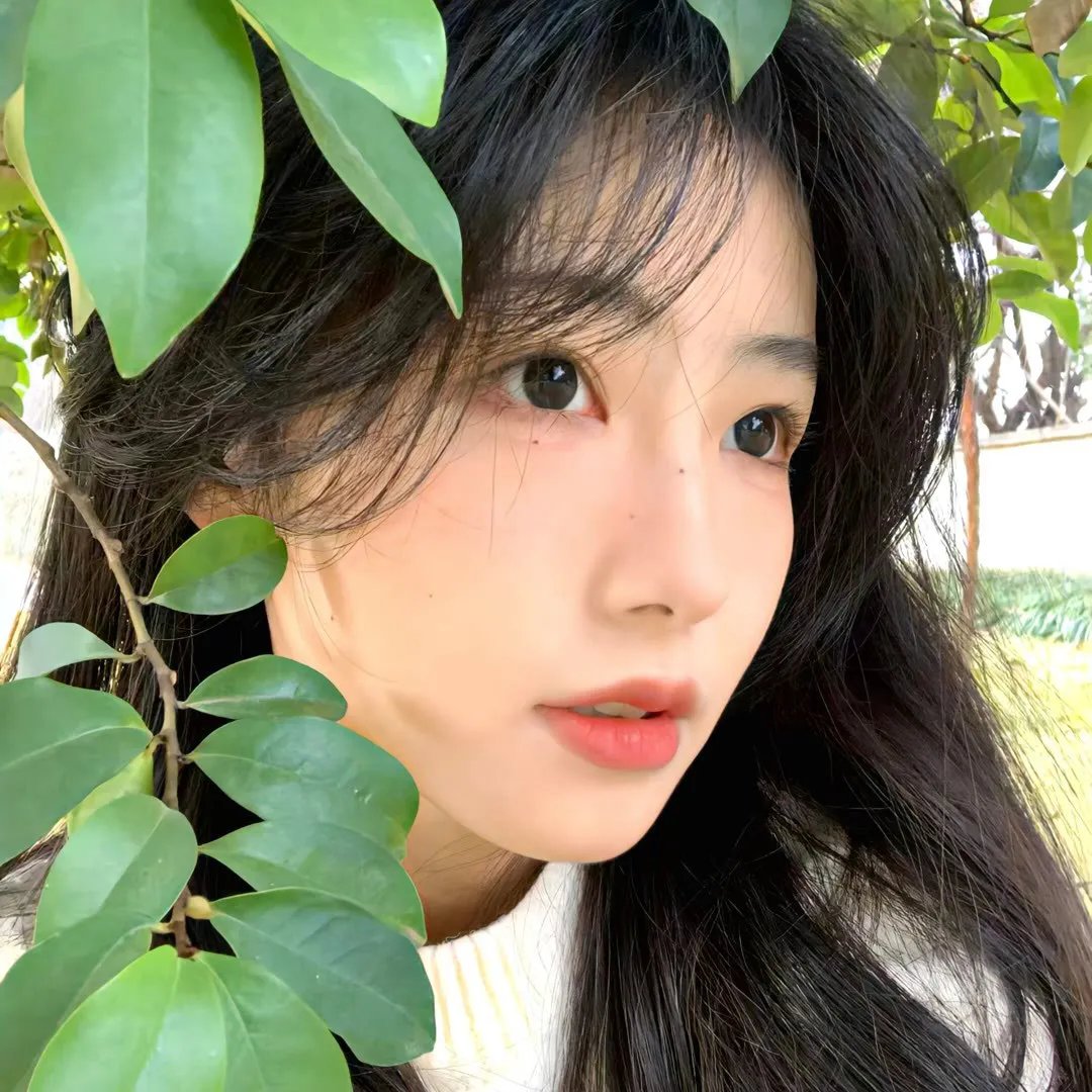 未闻花名 在线观看